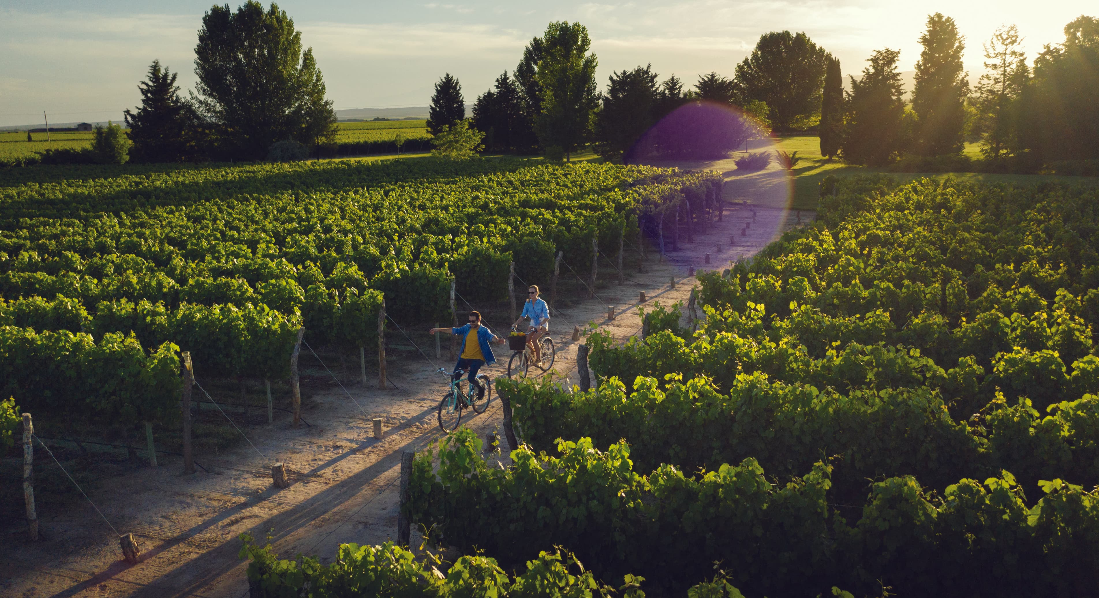 Couple cycling between Mendoza vineyards in late sun