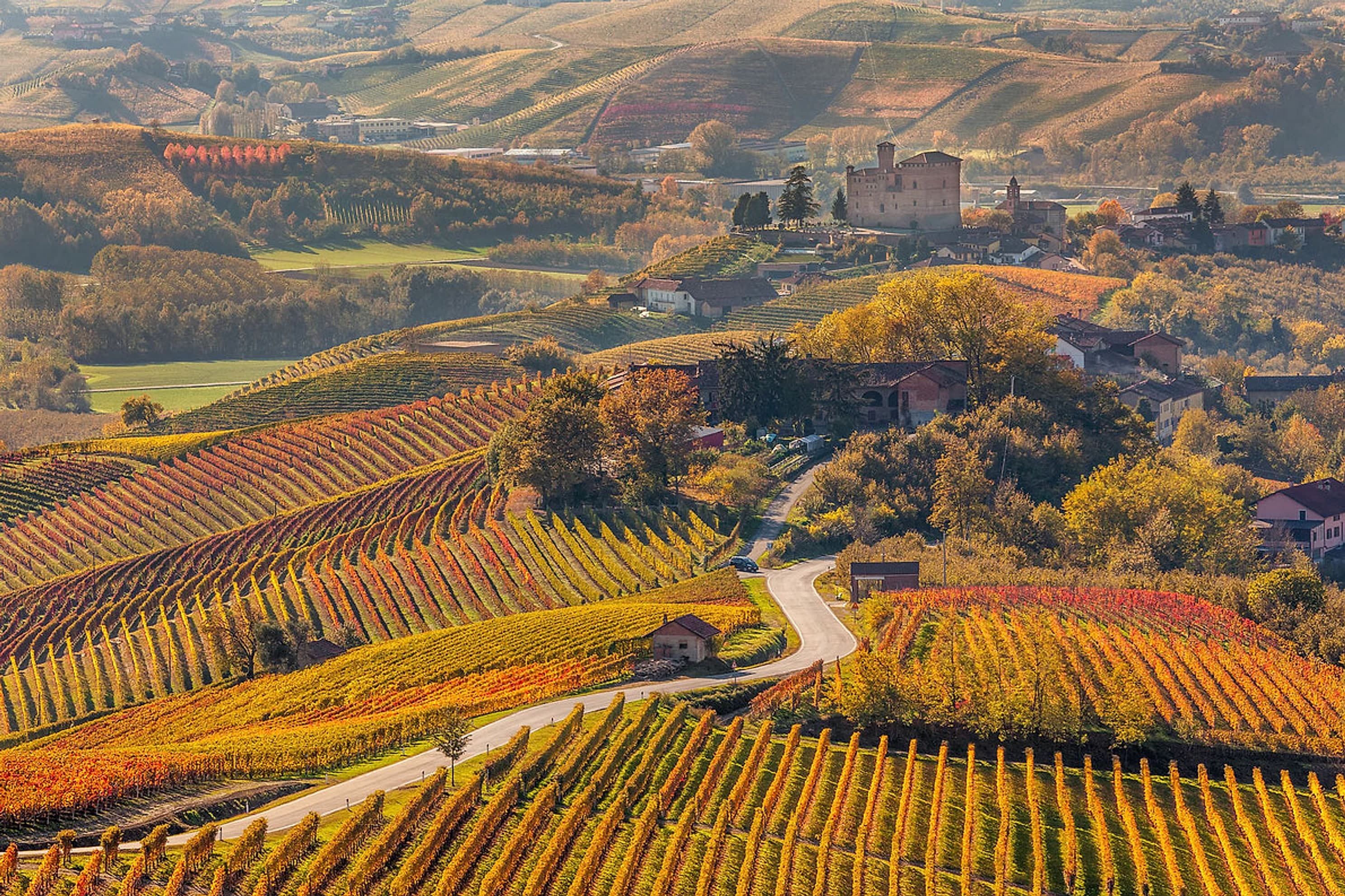 Piedmont vineyards in autumn with a hilltop castle