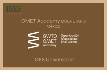GWTO Academy Querétaro, Mexico — IGES Universidad