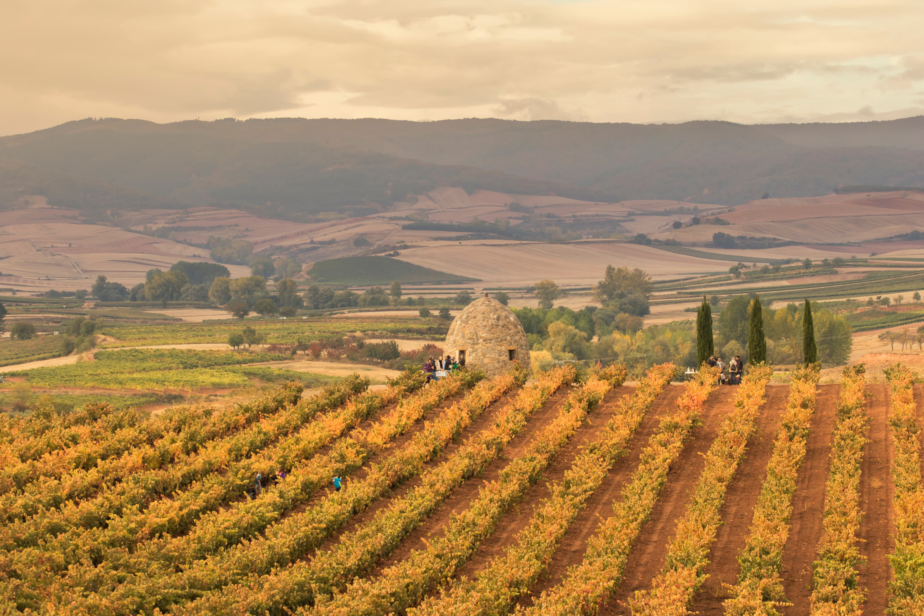 La Rioja autumn vineyards with a traditional stone hut and a tour group